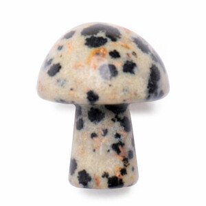 Gua sha na tvář z jaspisu dalmatin Mushroom - cca 2 cm